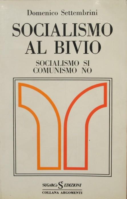Socialismo al bivio - Domenico Settembrini - copertina