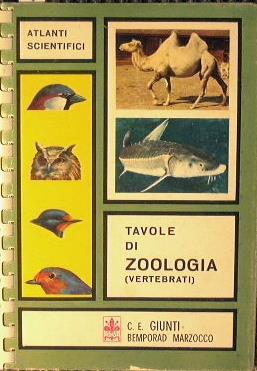 Tavole di zoologia ( Vertebrati ) - Luis Blas Aritio - copertina