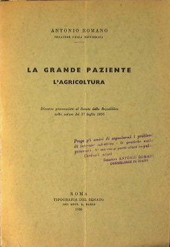 La grande paziente. L'agricoltura - Antonio Romano - copertina