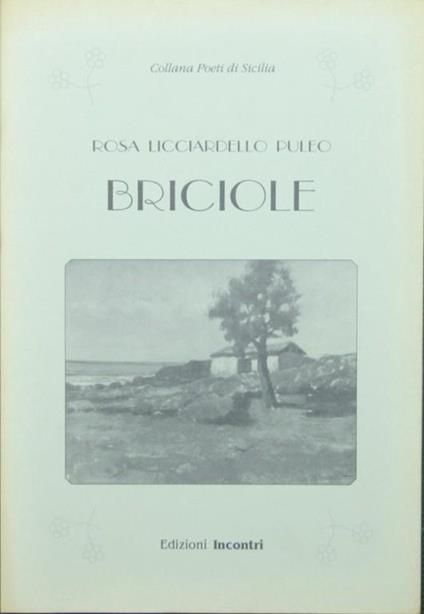 Briciole - Rosa Licciardello Puleo - copertina