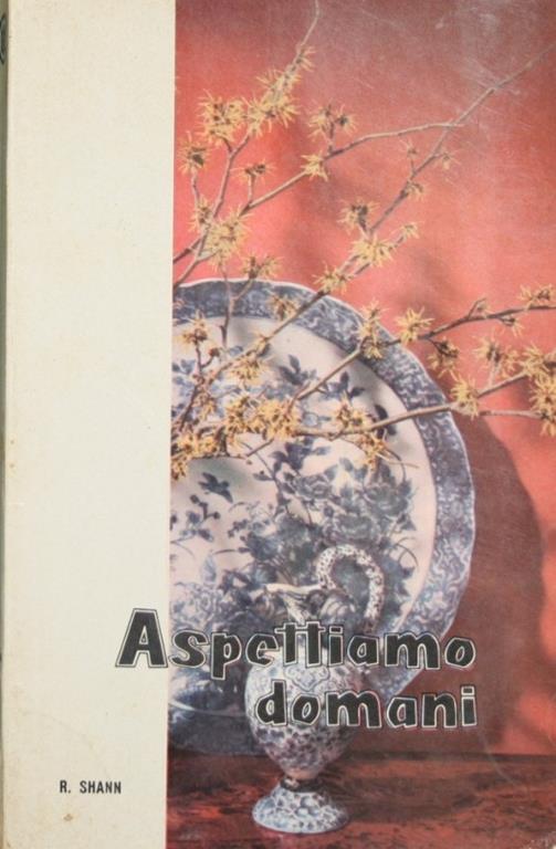 Aspettiamo domani. Romanzo - Renee Shann - copertina