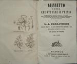 Giannetto. Opera che ottenne il premio promesso dalla società formata in firenze per la diffusione del metodo di reciproco insegnamento all'Autore del più bel libro di lettura morale ad uso dei fanciulli