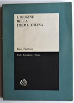 L' Origine Della Forma Umana