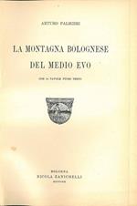 La montagna bolognese nel medioevo