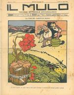 Il Mulo. Periodico settimanale anticanagliesco. 23 agosto 1908. Anno II - N. 33, direttore Agostino Ceccaroni