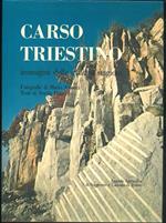 Carso Triestino. Immagini delle quattro stagioni