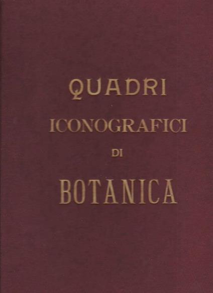 Quadri iconografici di botanica proposti ad uso delle scuole e pubblicati sotto la direzione di Luigi Bellardi - Luigi Bellardi - copertina