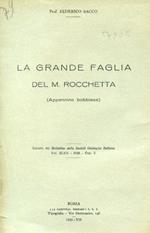 La grande faglia del M. Rocchetta (Appennino bobbiese)