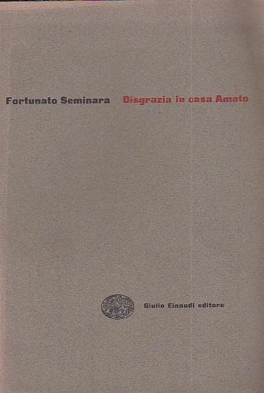 Disgrazia in casa Amato - Fortunato Seminara - copertina