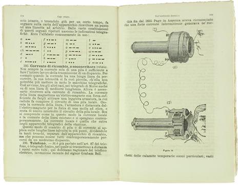 Primi Elementi di Scienze Fisiche e Naturali per le Scuole Tecniche, Normali, Magistrali Maschili e Femminili - Luigi Bellardi,Giovanni Luvini - 2