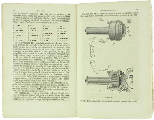 Primi Elementi di Scienze Fisiche e Naturali per le Scuole Tecniche, Normali, Magistrali Maschili e Femminili - Luigi Bellardi,Giovanni Luvini - 2