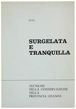 Surgelata e Tranquilla. Tecniche Democristiane della Conservazione nella Provincia Granda