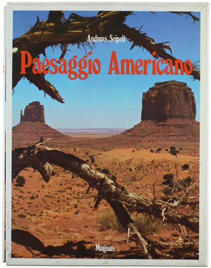 Paesaggio americano - Andreas Seipelt - copertina