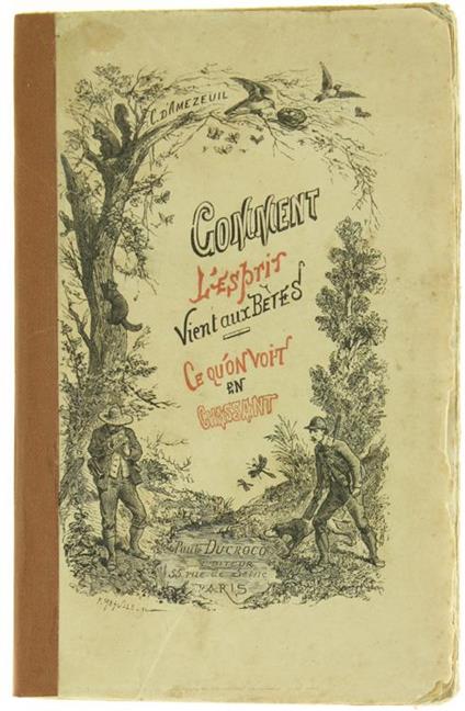 Comment l'Esprit Vient Aux Betes. Ce QùOn Voit en Chassant - C. D'Amezeuil - copertina