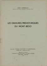 Les Gravures Prehistoriques du Mont-Bego