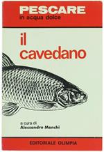 Il Cavedano