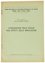 Utilizzazione delle Acque agli Effetti della Irrigazione