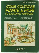 Come Coltivare Piante e Fiori su Balconi e Terrazze. Idee Nuove. Suggerimenti. Consigli