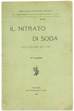Il Nitrato di Soda nella Coltura dei Fiori