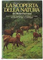 La Scoperta Della Natura - Cosa E Come Osservare In Montagna, Al Mare, Nei Boschi, Al Lago, In Campagna