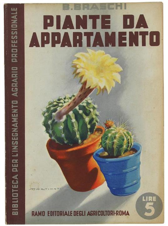 Piante Da Appartamento - Bruno Braschi - copertina