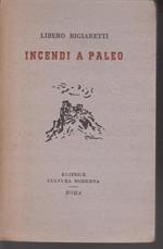 Incendi a Paleo