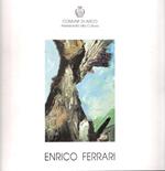Enrico Ferrari De Rerum Natura Opere 1991-1992