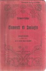 Elementi Di Zoologia Parte Ii Invertebrati E Animali Utili