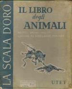 Il Libro Degli Animali - Rettili, Anfibi, Insetti - Illustrato Da Carlo Galleni