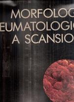 Morfologia Reumatologia A Scansione