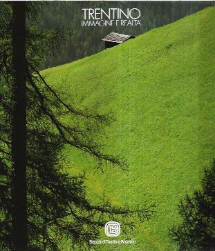 Trentino - Immagine E Realtà - Flavio Faganello - copertina