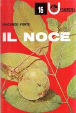 Il Noce