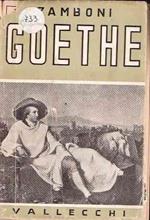 Goethe - Exlibris Di Remo Wolf