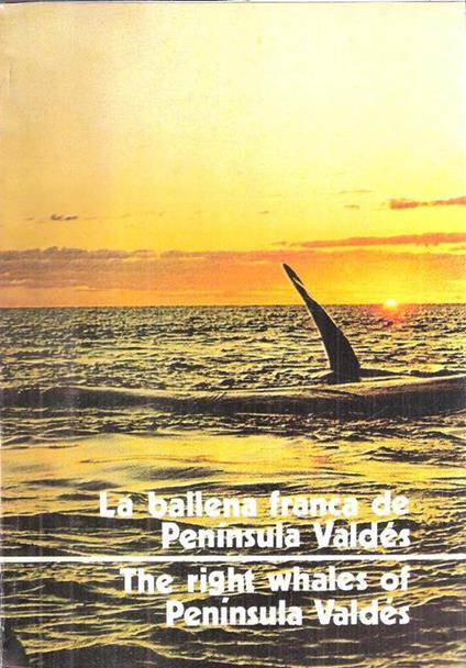 La Ballena Franca De Peninsula Valdes - Harris Garcia - copertina