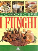 Conoscere I Funghi