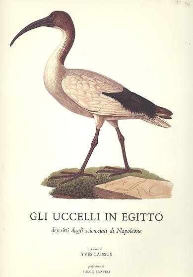 Gli uccelli in Egitto - copertina