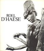 Roel D'Haese