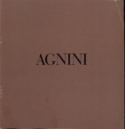 Aldo Agnini. Opere recenti, 1988-89 - Aldo Agnini - copertina