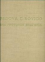 Padova e Rovigo due provincie nell'arte