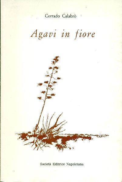 Agavi in fiore - Corrado Calabrò - copertina