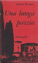 Una lunga pazzia