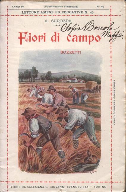 Fiori di campo. Bozzetti - Angelo Gurrera - copertina