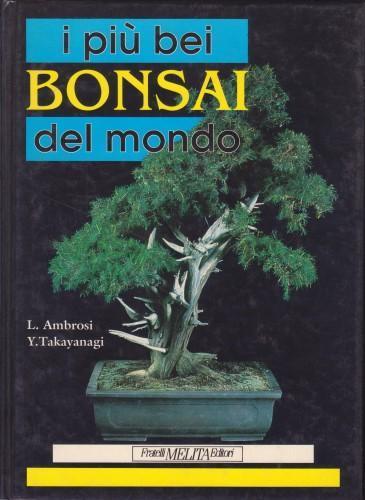 I più bei bonsai del mondo - Lilia Ambrosi - copertina