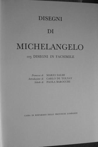 Disegni di Michelangelo. 103 disegni in facsimile - M. Salmi - copertina