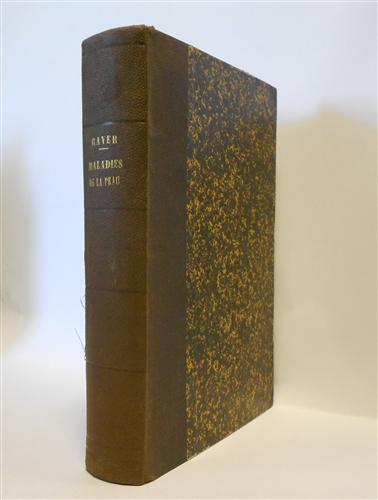 Traité théorique et pratique des maladies de la peau, fondé sur de nouvelles recherches d'anatomie et de physiologie pathologiques - P. Rayer - 3