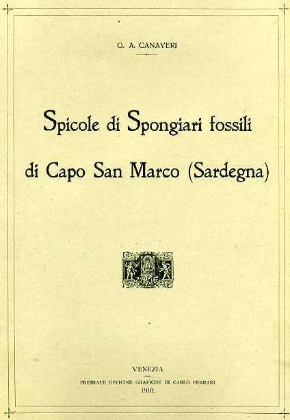 Spicole di Spongiari fossili di Capo San Marco ( Sardegna ) - G.A. Canaveri - 3