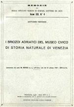 I briozoi adriatici del Museo Civico di Storia Naturale di Venezia