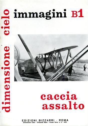 Caccia assalto immagini B1. IMAM Ro51, Machi C. 200, Fiat CR. 42, Caproni Vizzola F. 5, Aeron. Umbra t.18, Reggiane Re.2000 - Emilio Brotzu - 2