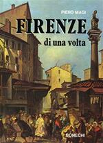 Firenze di una volta nei dipinti, nei disegni e nelle incisioni del Museo di Firenze Com'era