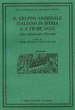 Il gruppo nazionale italiano in Istria e a Fiume oggi. Una cultura per l'Europa